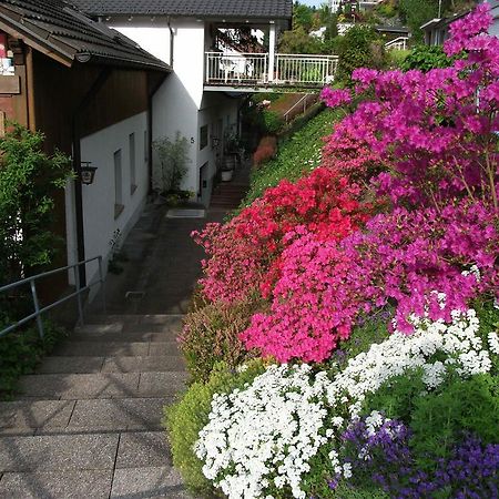 Hotel Garni Schilli ヴォルフアッハ エクステリア 写真