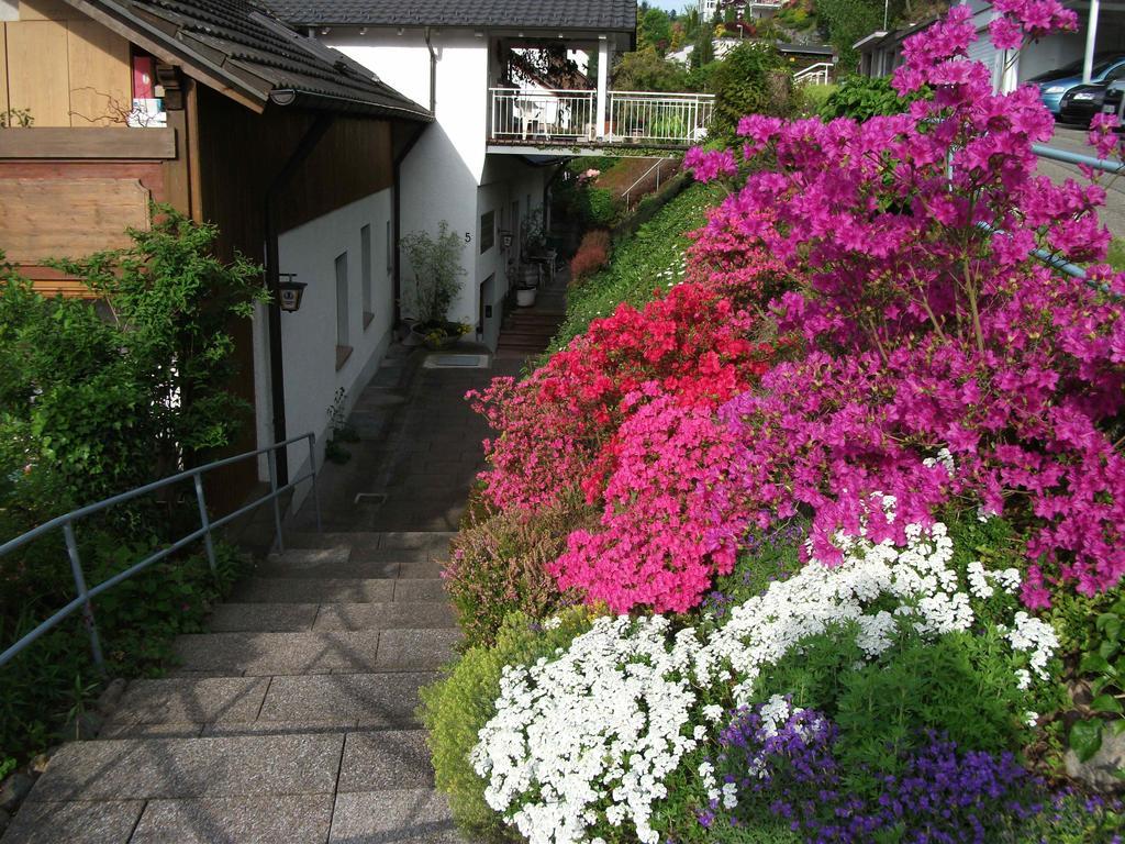 Hotel Garni Schilli ヴォルフアッハ エクステリア 写真